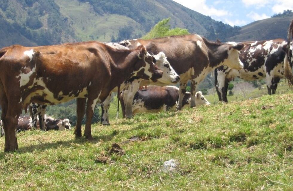 Se declaró emergencia agropecuaria para Mendoza