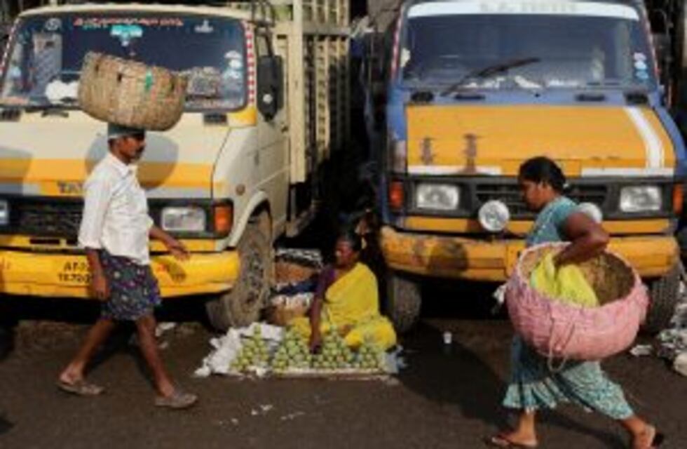 Revelaron cuál es la fruta que mató a cientos de niños en la India