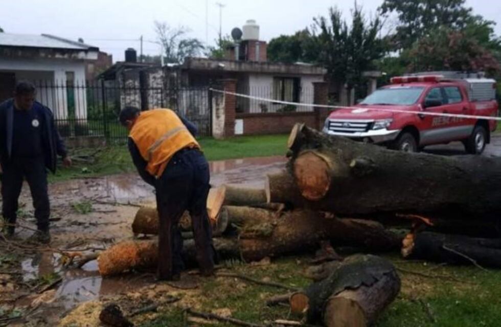 Caída de árbol obstruye una calle en Mendiolaza