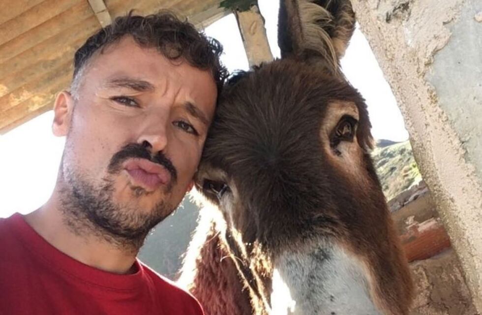 El emotivo momento en que un hombre se reencuentra con su burra tras dos meses de aislamiento