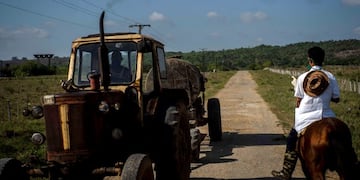 Medical student Hector Manuel Batista rides a horse past a tractor on a countryside road in search of residents infected with COVID-19, in San Jose de las Lajas, Cuba, Thursday, April 30, 2020\u002E (AP Photo/Ramon Espinosa)