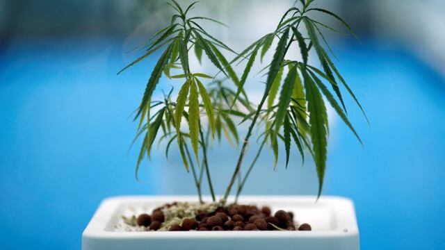 La iniciativa del Ejecutivo provincial se puso en marcha a mediados del año pasao\u002E (EFE)