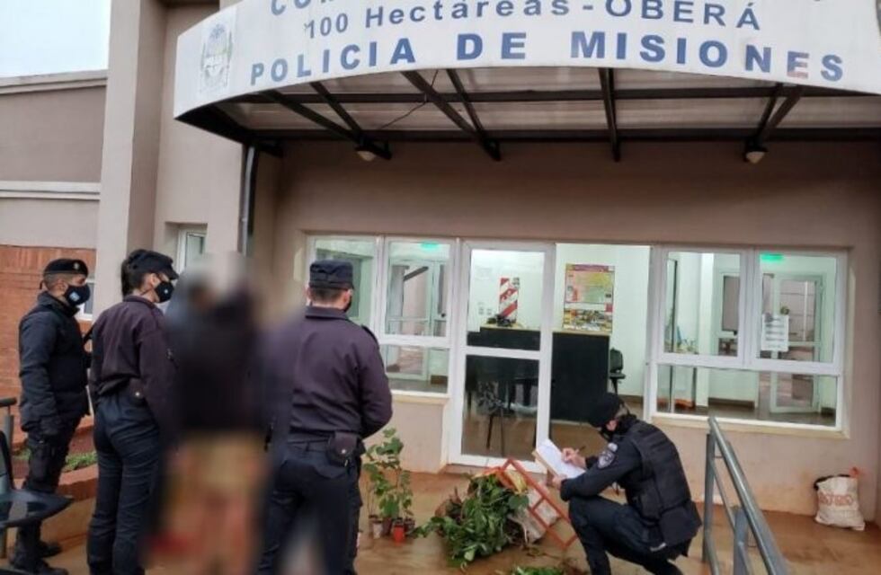 Un detenido por el robo de plantines de yerba mate en Oberá