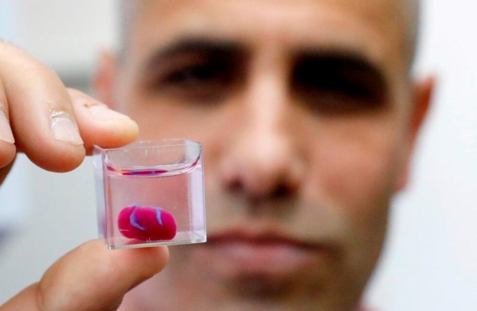 Imprimieron por primera vez un corazón vivo en 3D