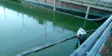 Limpieza municipal del lago San Roque