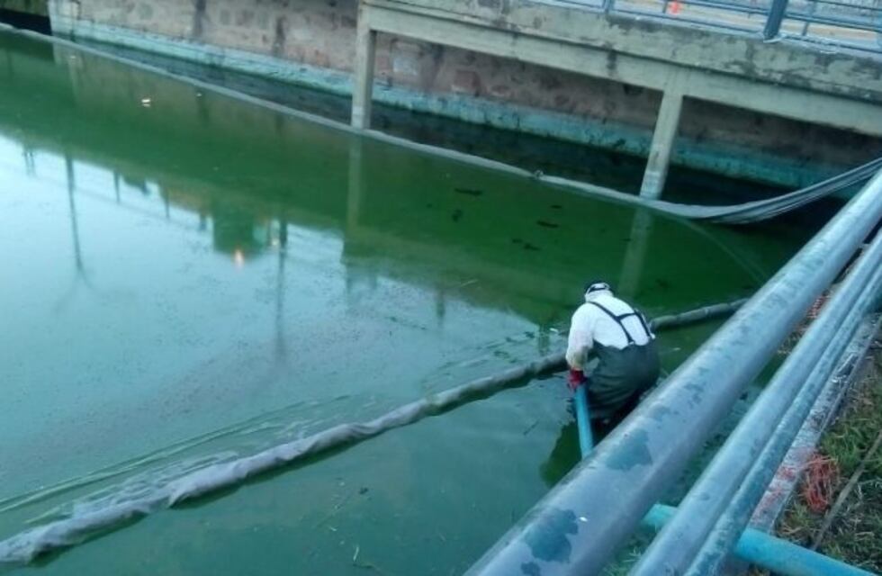 Contaminación del lago San Roque: reportes diferentes de una situación que preocupa