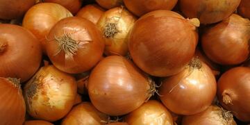 cebollas - Pixabay