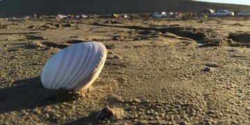 Las playas estuvieron colmadas