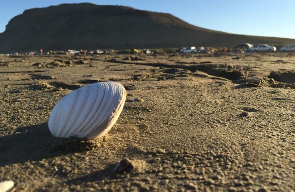 Para hoy la temperatura podría llegar a 28ºC en Comodoro
