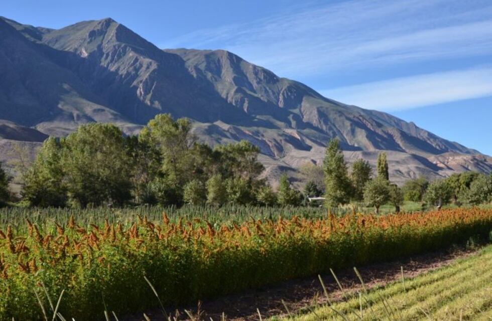 Anuncian la realización del 9° Congreso Nacional de Ingeniería Agronómica en Jujuy