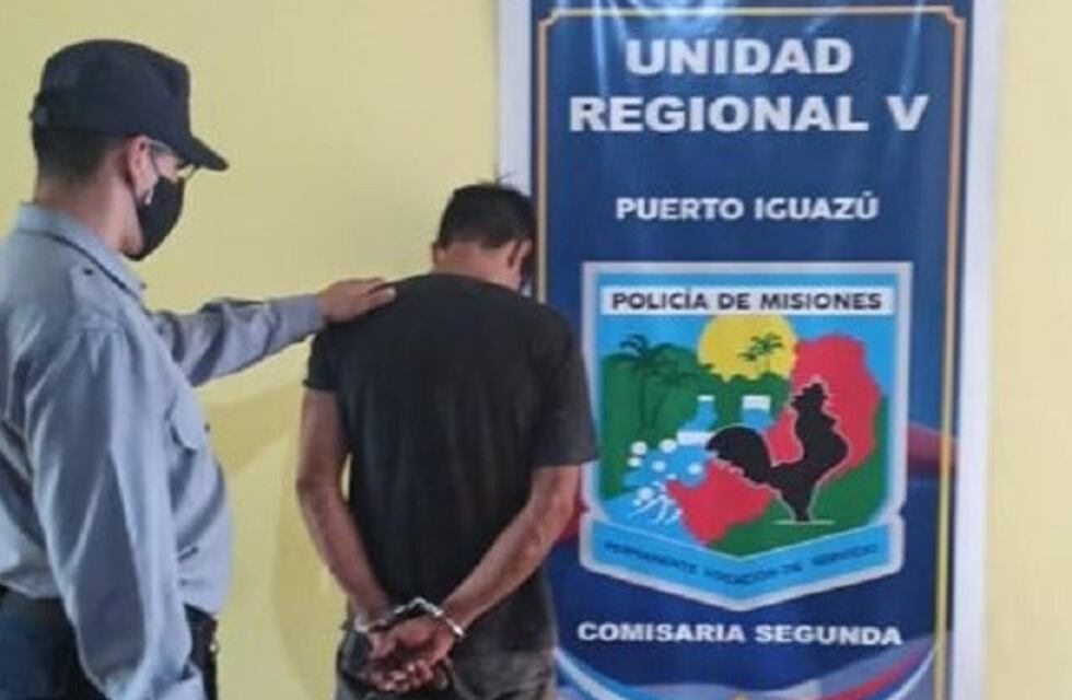 Intentó escapar tras robar una escuela y fue detenido