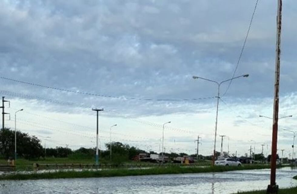 Chaco envió a Nación un reporte de la situación del sector agropecuario