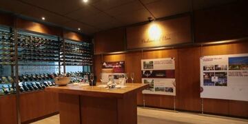 Nueva edición de Vivo Vino