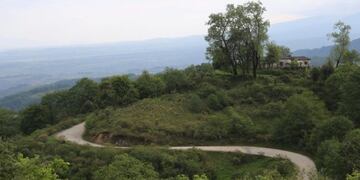 Parque Nacional Campo de los Alisos\u002E Tucumán\u002E (Web)\u002E