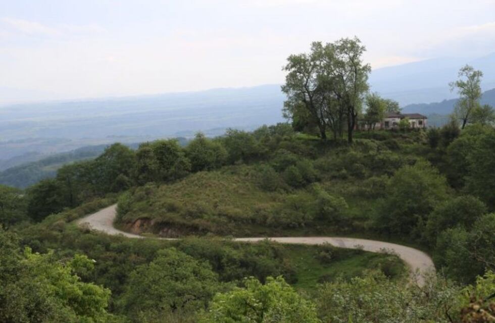 El parque Nacional Campo de los Alisos, una belleza tucumana para disfrutar