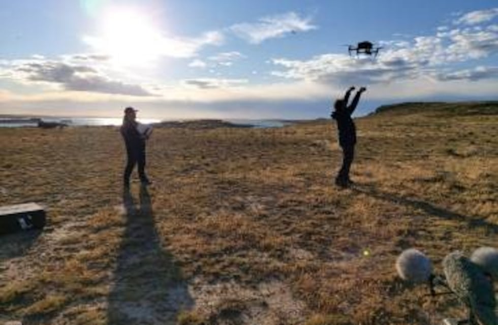 Documentalistas visitaron Isla Pingüino y la Ría Deseado