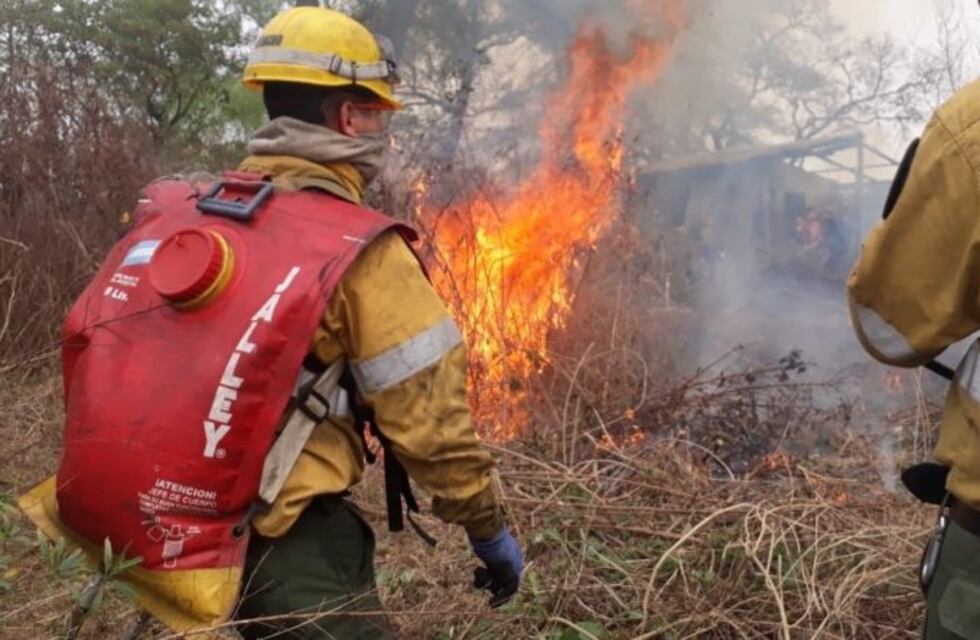 Brigadistas salvaron 20 viviendas del fuego en las islas del Delta del Paraná