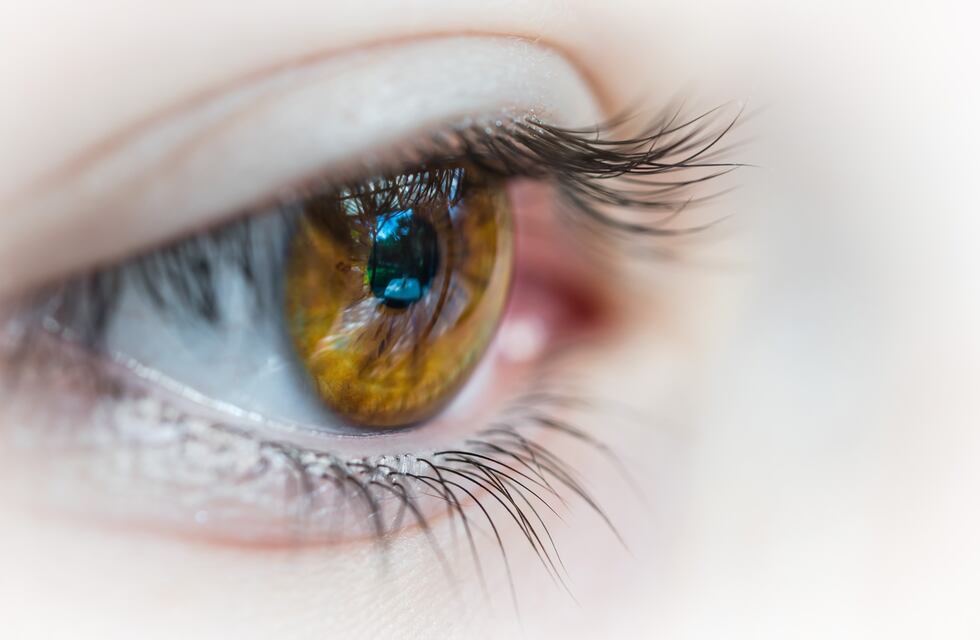 Qué significa que me tiemble el ojo, según los especialistas