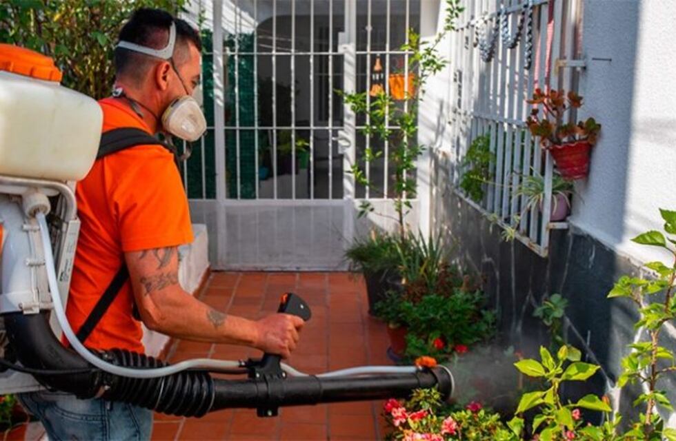 Confirman un afectado con dengue en Concordia y suman 8 en Entre Ríos