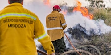 En el último año disminuyeron la cantidad de hectáreas afectadas por los incendios, y también los daños. Foto: Los Andes