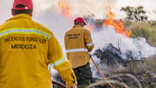 En el último año disminuyeron la cantidad de hectáreas afectadas por los incendios, y también los daños. Foto: Los Andes