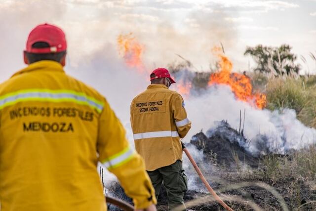 En el último año disminuyeron la cantidad de hectáreas afectadas por los incendios, y también los daños. Foto: Los Andes