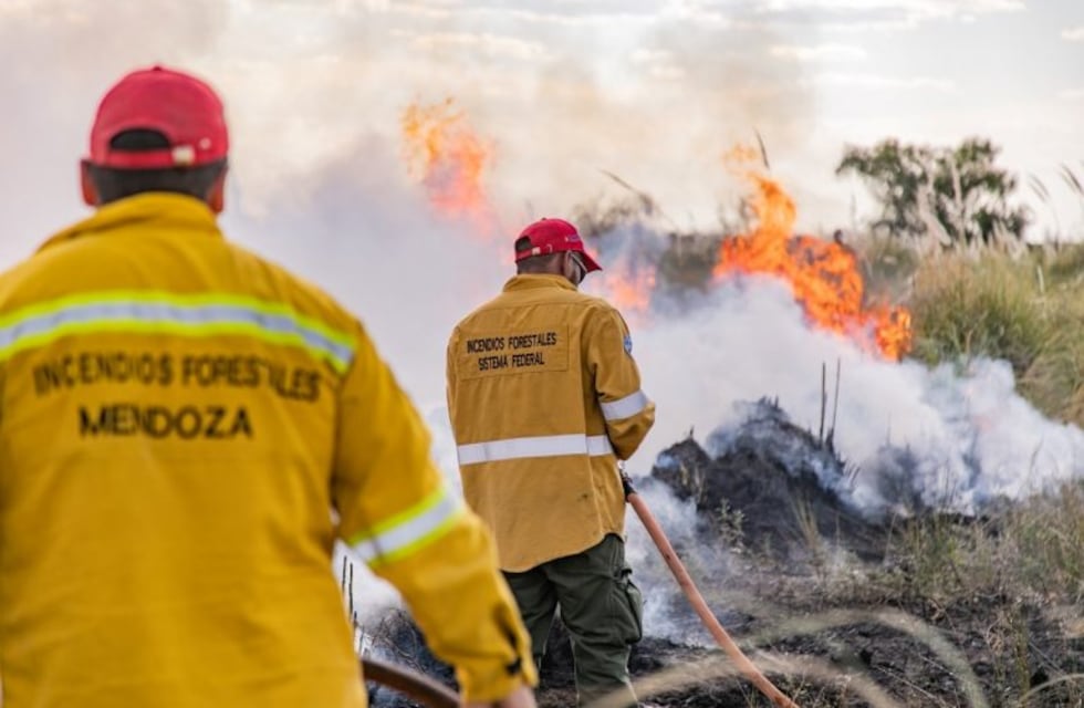 Fuerte baja en la cantidad de hectáreas y en los daños por los incendios en Mendoza