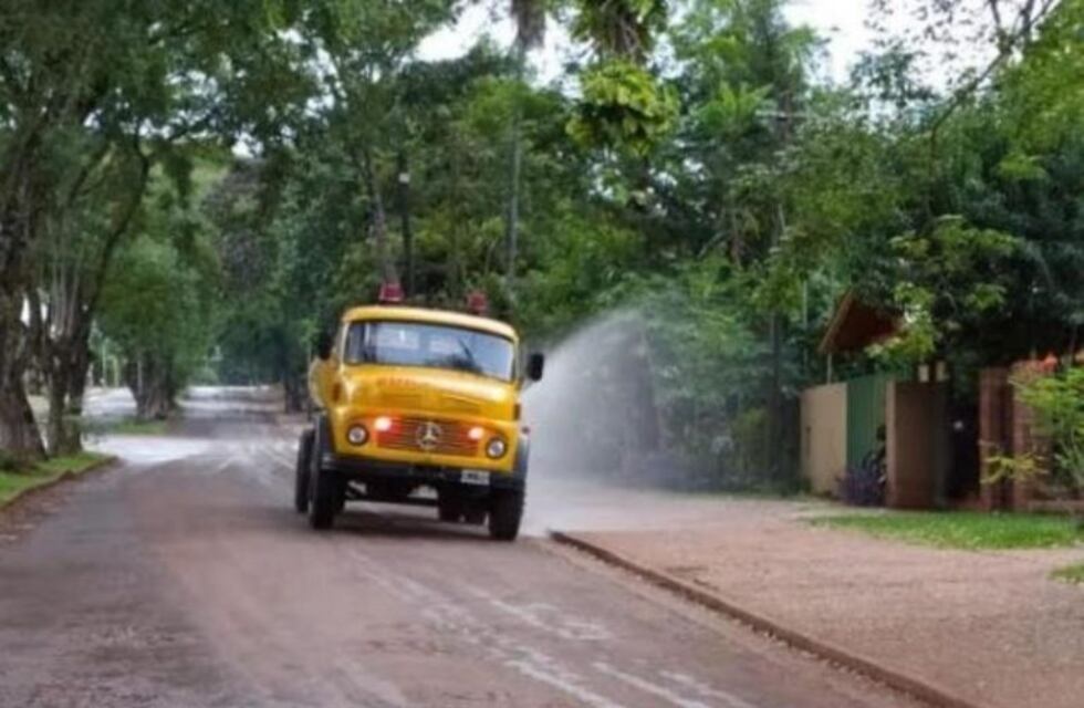 Dengue: quien no pague multa por no desmalezar no podrán tramitar el carné de conducir