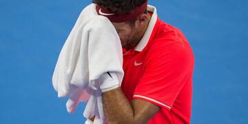 Opinión: Del Potro no llega a Londres\u002E