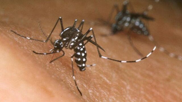 Prevención del dengue\u002E