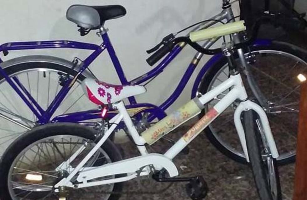 Se llevaron la bici de una nena y su mamá pide que la devuelvan porque "se la había regalado Papá Noel"