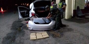 El can antinarcóticos detectó la droga oculta en el paragolpe trasero