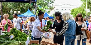 Ferias Francas en Posadas\u002E Son 14 donde trabajan unos 540 productores rurales\u002E (M\u002E de Posadas)
