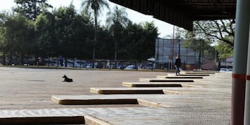 Conflicto en la Terminal de Posadas\u002E (Foto: El Territorio)