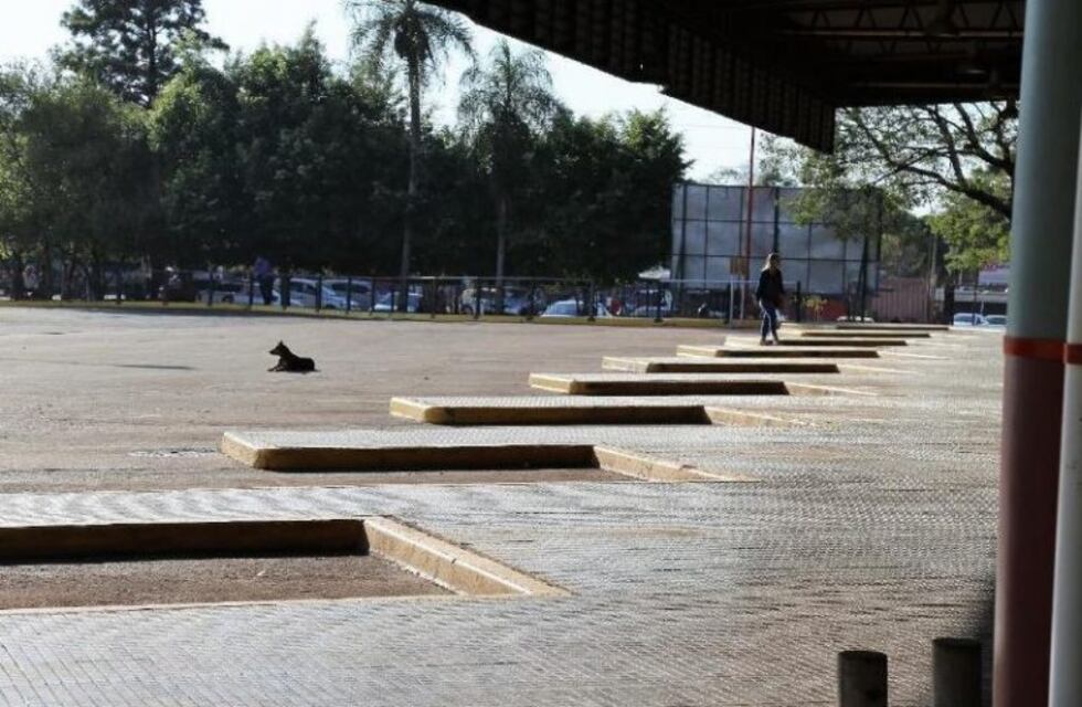 El Municipio resignará su parte del toque de andén para solucionar el conflicto en la Terminal