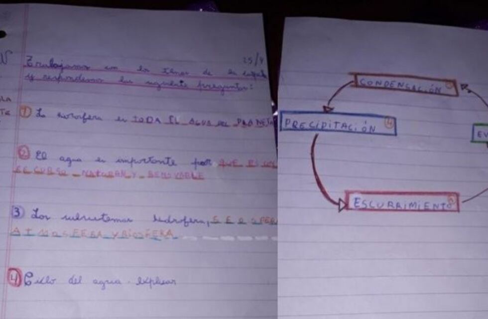 Padres de chicos con dislexia piden que los docentes adecuen los exámenes