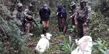 Detuvieron a tres cazadores furtivos en la reserva Yabotí