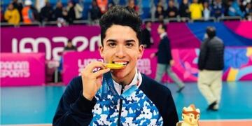 Su madre, María Pages, subió al escenario a recibir el premio en su nombre\u002E