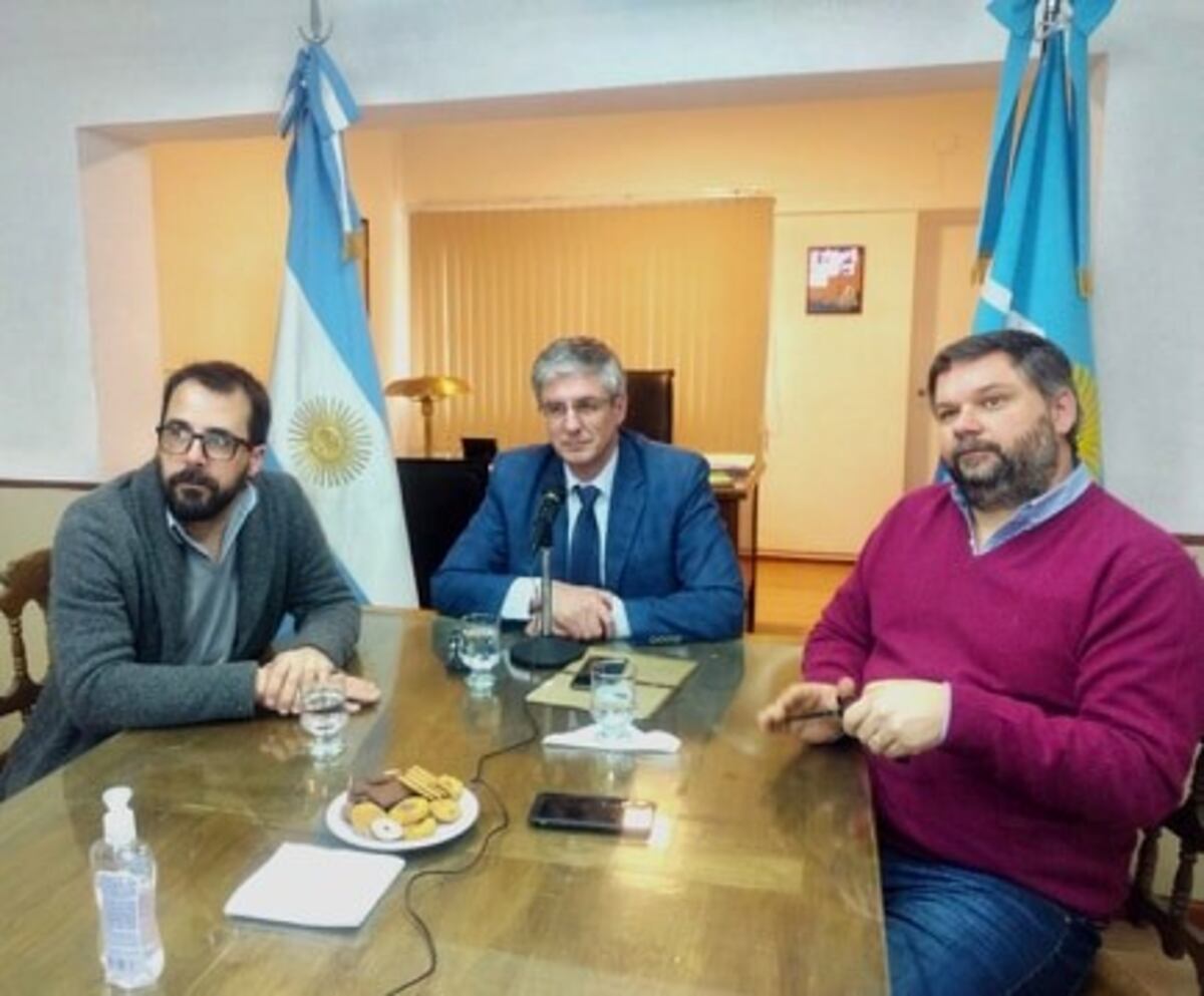 Sergio Ongarato videoconferencia con Alberto Fernandez