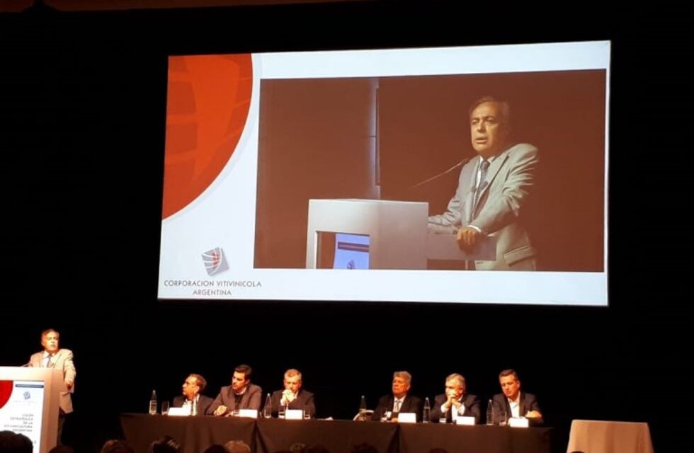 Cornejo: "Crecieron las exportaciones pese a que la economía no es sana"