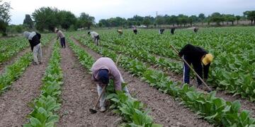 peon rural