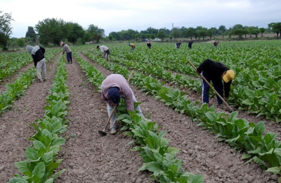 Conflicto con peones rurales por negativa de Mesa de Enlace de entregar bonos