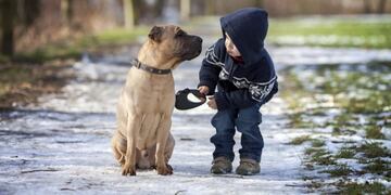 "El mejor amigo del hombre" realmente lo sería. (Foto: Ilustrativa Web)