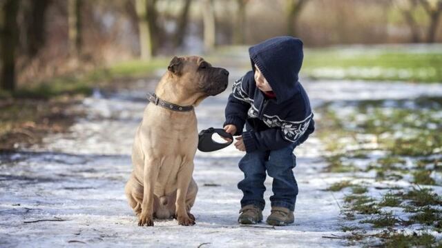 "El mejor amigo del hombre" realmente lo sería. (Foto: Ilustrativa Web)