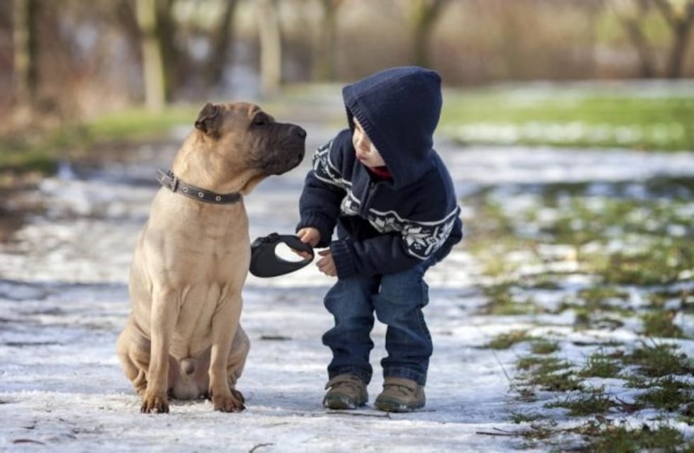 El tierno video de un niño colocándole un barbijo a su perro
