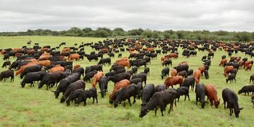 Suspendieron el Congreso Mundial de Brangus\u002E