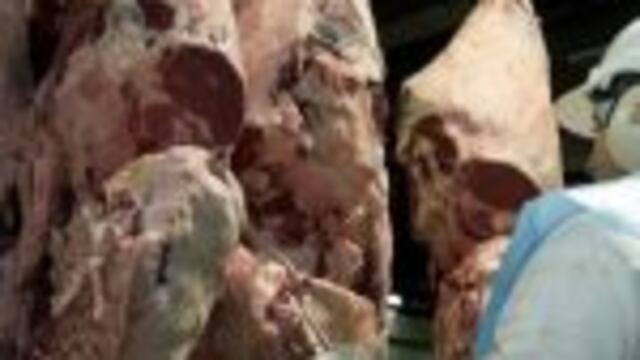 CLAIMA20160923_0192   La actividad repunta para los frigoru00edficos.