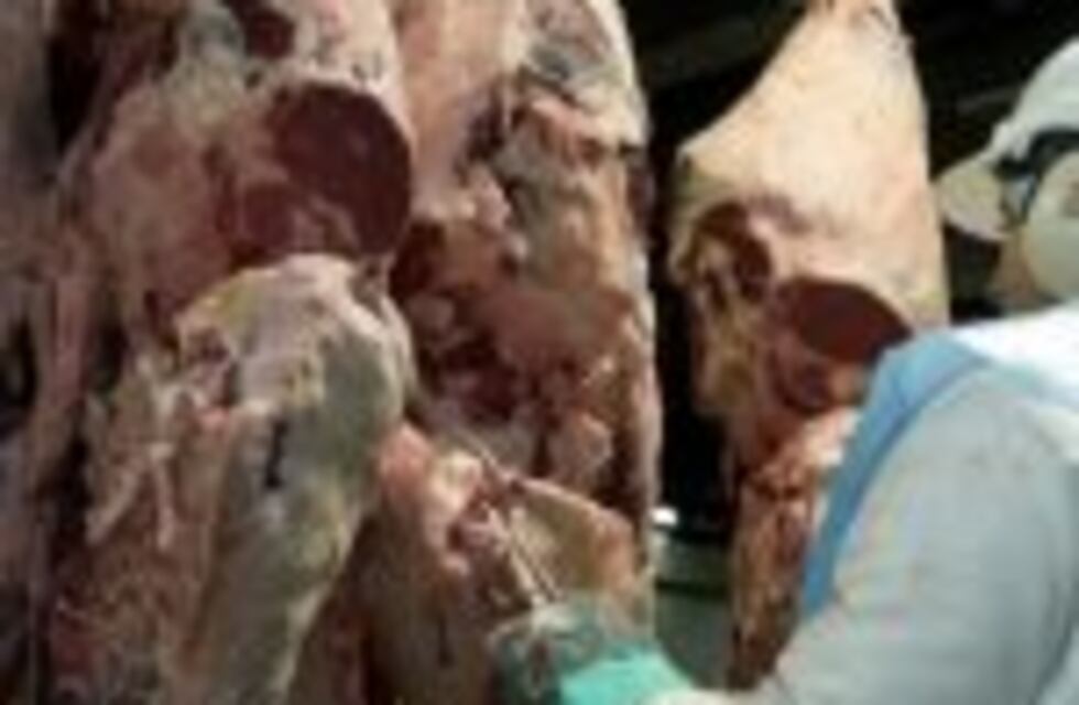 El consumo anual de carne vacuna por habitante cayó un 6,7%