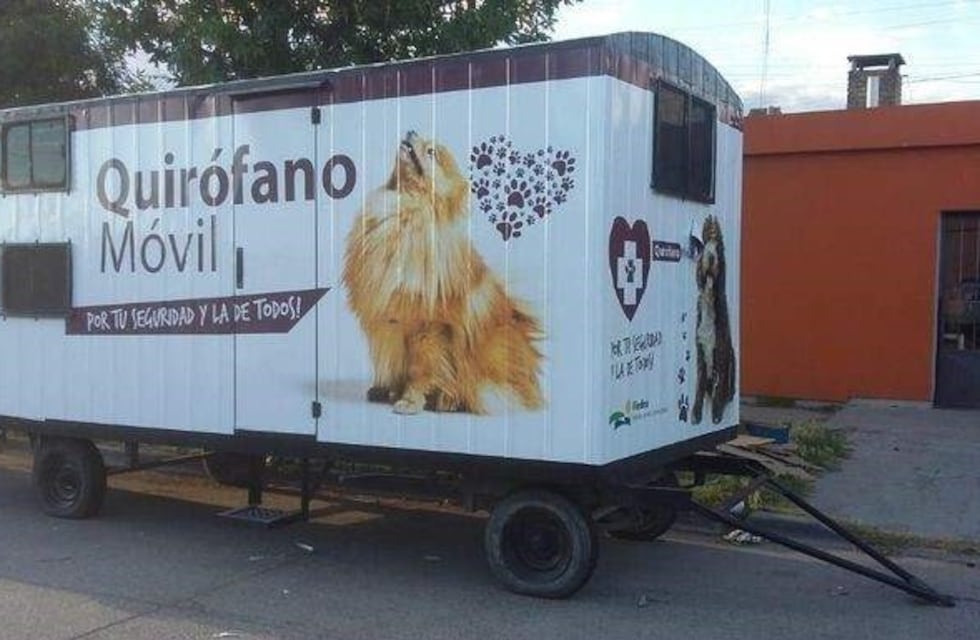 Casi siete mil mascotas pasaron por el quirófano móvil de Viedma