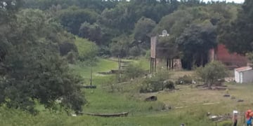 Los pasos siguen teniendo circulación de personas que pasan de un lado a otro de la frontera